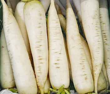 white radishes thumbnail
