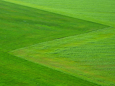 green lawn thumbnail