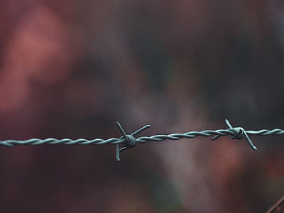 selective focus photography of gray barbed wire thumbnail
