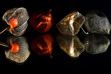 four assorted-color Christmas baubles thumbnail