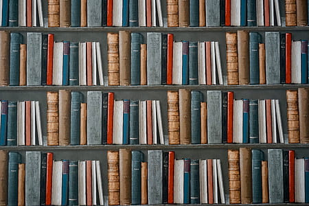 Books on Bookshelves thumbnail