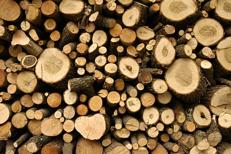 firewood, bark, outdoors, environment thumbnail