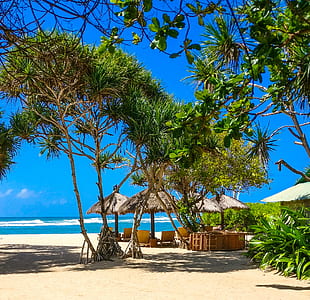 brown huts surrounded with green trees and plants on seashore thumbnail