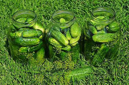 pickled cucumbers inside glass jars thumbnail