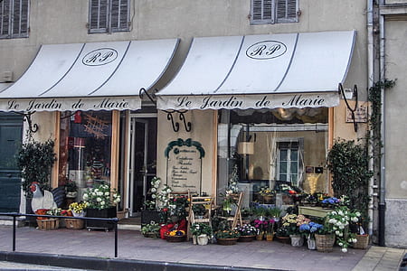 flower shop near street at daytime thumbnail