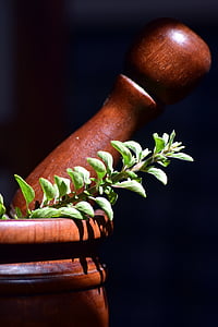 green leaves on brown wooden mortar and pestle thumbnail