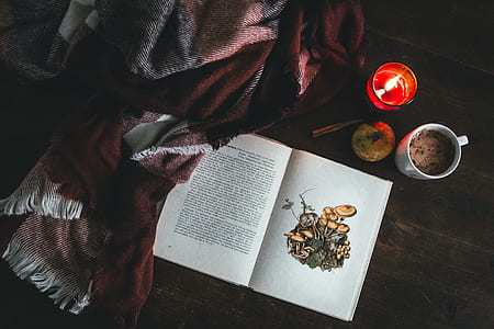 white open book near white ceramic mug and tealight candle thumbnail