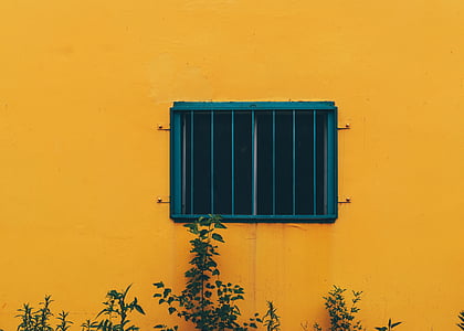 plant under the window grille thumbnail
