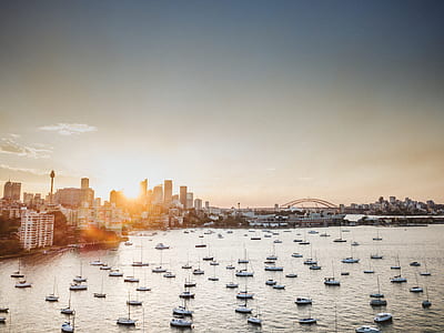 white yachts on body of water near city buildings under cloudy sky thumbnail