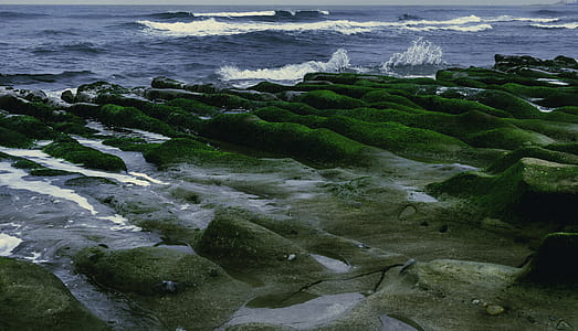 Photography Of Sea thumbnail