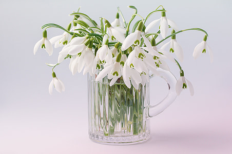 white petaled flowers in clear glass pitcher thumbnail