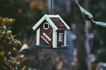 selective focus photo of brown and white woodenbirdhouse thumbnail