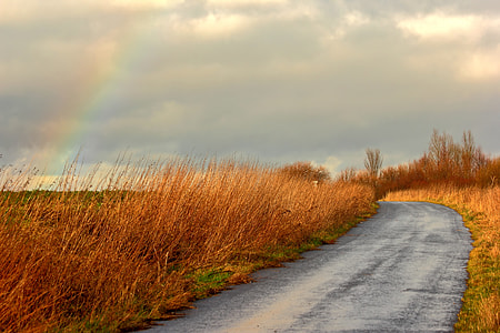 landscape photography of road thumbnail