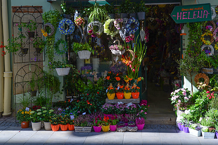person taking photo of Helena flower shop thumbnail