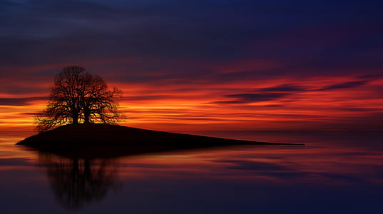 silhouette of tree on island thumbnail