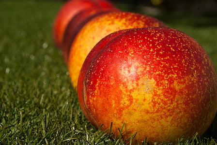 depth of field photography of apples on green grass thumbnail