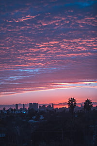 landscape photography of cityscape thumbnail