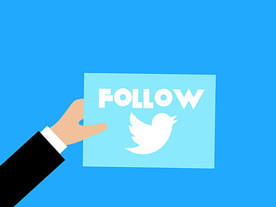 Illustration of hand holding sign asking for a Twitter follow thumbnail