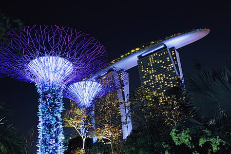 Gardens by the Bay, Singapore thumbnail