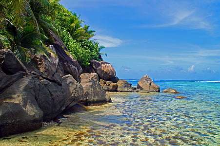 brown rocks beside ocean during daytime thumbnail