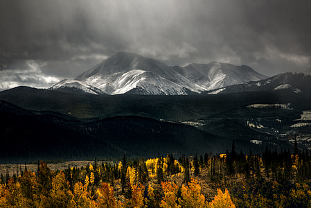 green and yellow trees near ice capped mountain under cloudy sky thumbnail