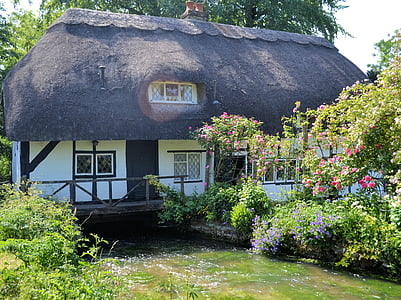white and brown wooden house surrounded by flowers thumbnail
