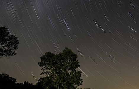 Star Trails Above the Trees at Blackhawk Lake, Wisconsin thumbnail