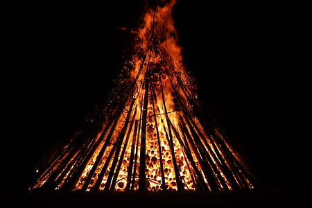 woods burning at night thumbnail