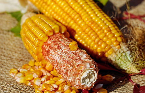 two corns thumbnail