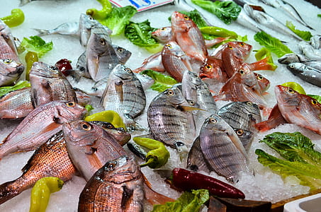 edible fishes on white tabe thumbnail