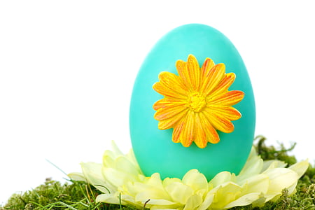 teal egg with orange flower emboss close up photo thumbnail