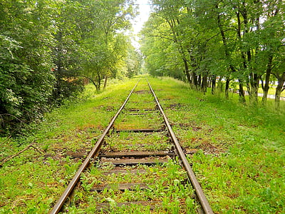 train railway covered by grass thumbnail