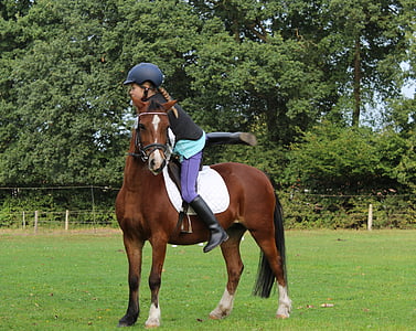 girl riding brown pony during daytime thumbnail