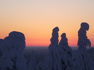 snow covered trees during daytime thumbnail