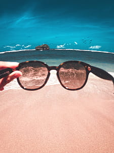 Person Holding Sunglasses in Front of Beach thumbnail