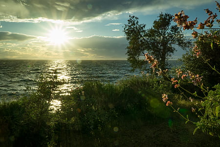Sun Ray Hitting Body of Water Green Grass Trees White Clouds during Sunrise thumbnail