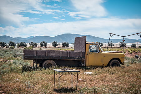 Yellow Truck On Field thumbnail