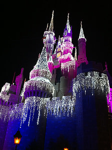 Disney Castle during nighttime thumbnail