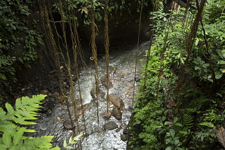 Photography of River With Rocks thumbnail