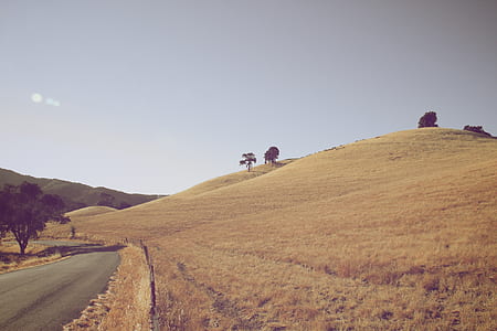 road beside hill thumbnail
