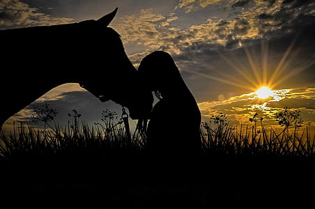 silhouettes of person in front of horse thumbnail
