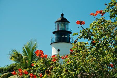 white and black lighthouse photography thumbnail