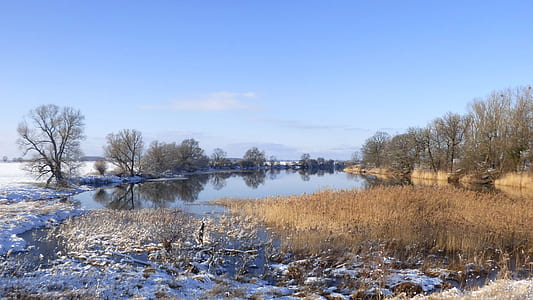 calm body of water surrounded by bushes thumbnail