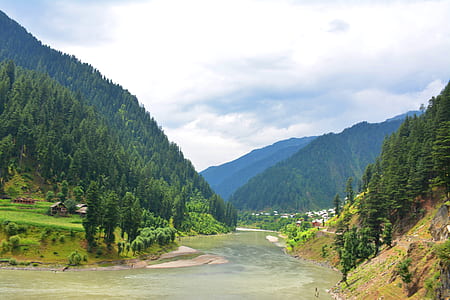 river with trees on the side during daytime thumbnail