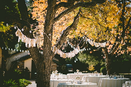 white table arrangement surrounding by trees and buntings at daytime thumbnail