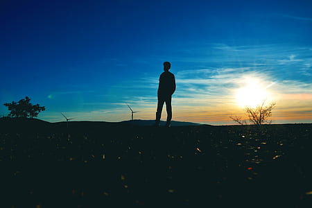 Silhouette of Man Near Tree Photo thumbnail