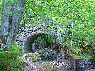 pathway under concrete bridge thumbnail