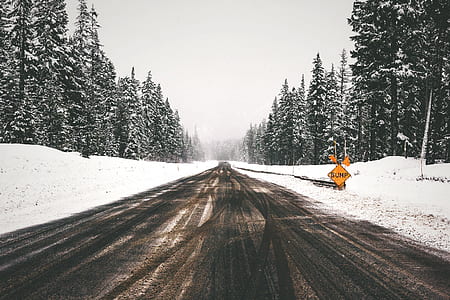 road surrounded by snows thumbnail
