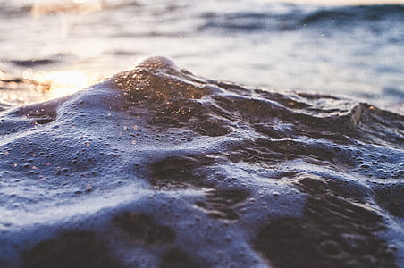 selective focus photography of body of water thumbnail