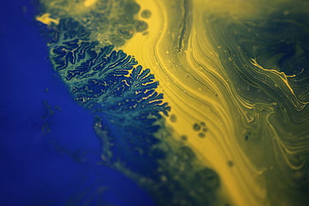 closeup photo of blue and yellow liquid thumbnail
